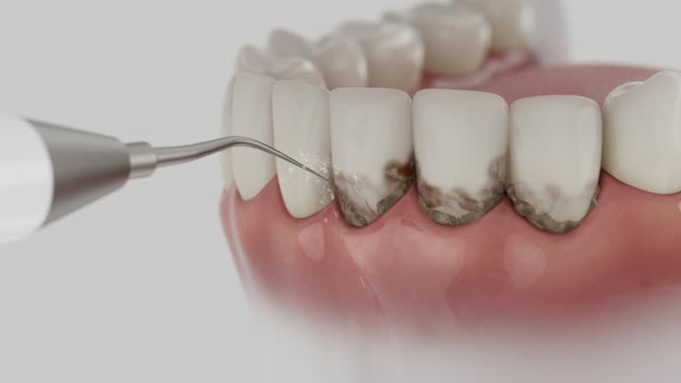 Reliable Dental contractor in Savannah, TX by Dentist Open Now